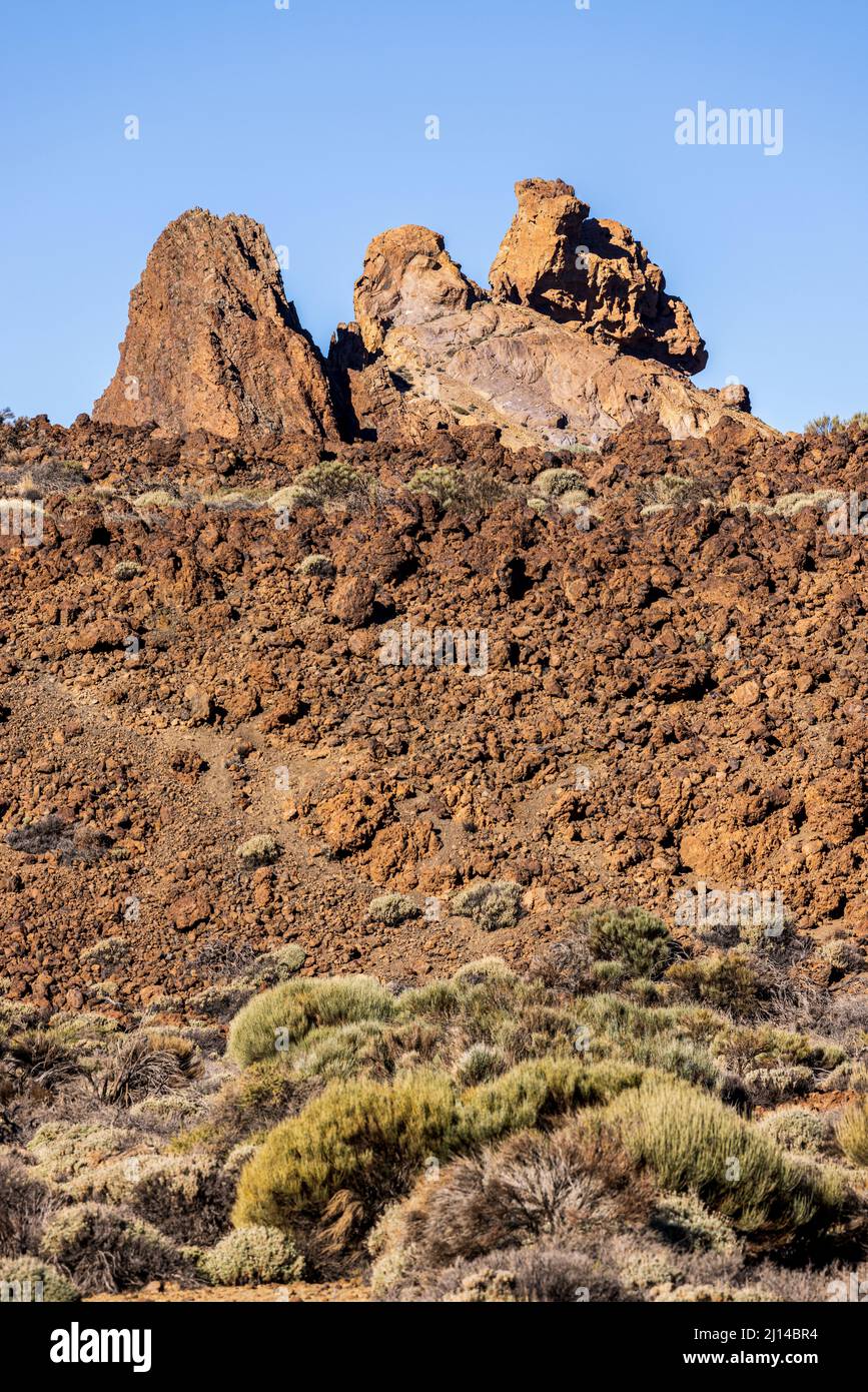 Champ de lave solidifié et formations rocheuses dentelées dans le paysage volcanique du parc national de Las Canadas del Teide, Tenerife, Îles Canaries, Espagne Banque D'Images