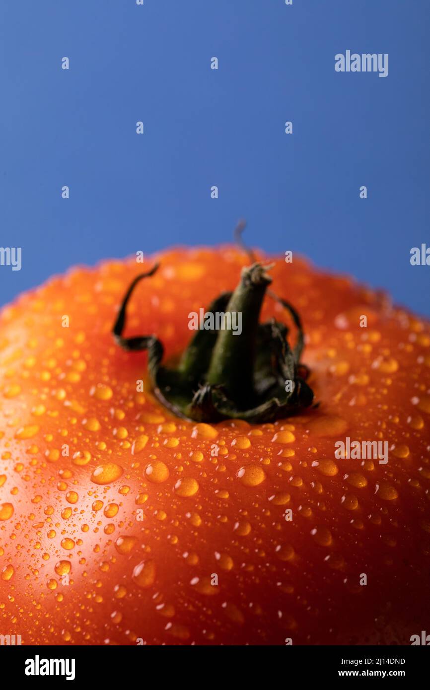 Gros plan de tomates rouges fraîches coupées avec gouttes d'eau sur fond bleu et espace de copie Banque D'Images