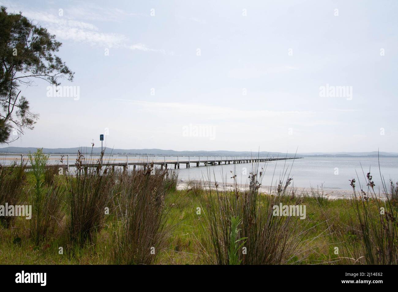 Vue panoramique sur la plus longue jetée en bois sur les lacs de Tuggerah, sur la côte centrale, par une journée ensoleillée Banque D'Images