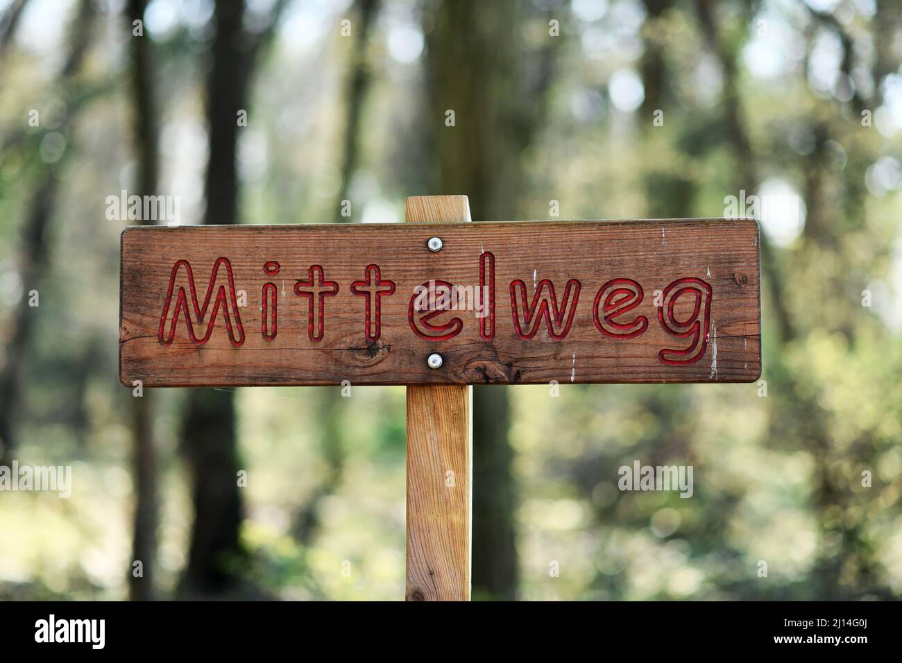 Panneau en bois indiquant « Mitelweg » (« mini-terrain » en anglais) en allemand Banque D'Images