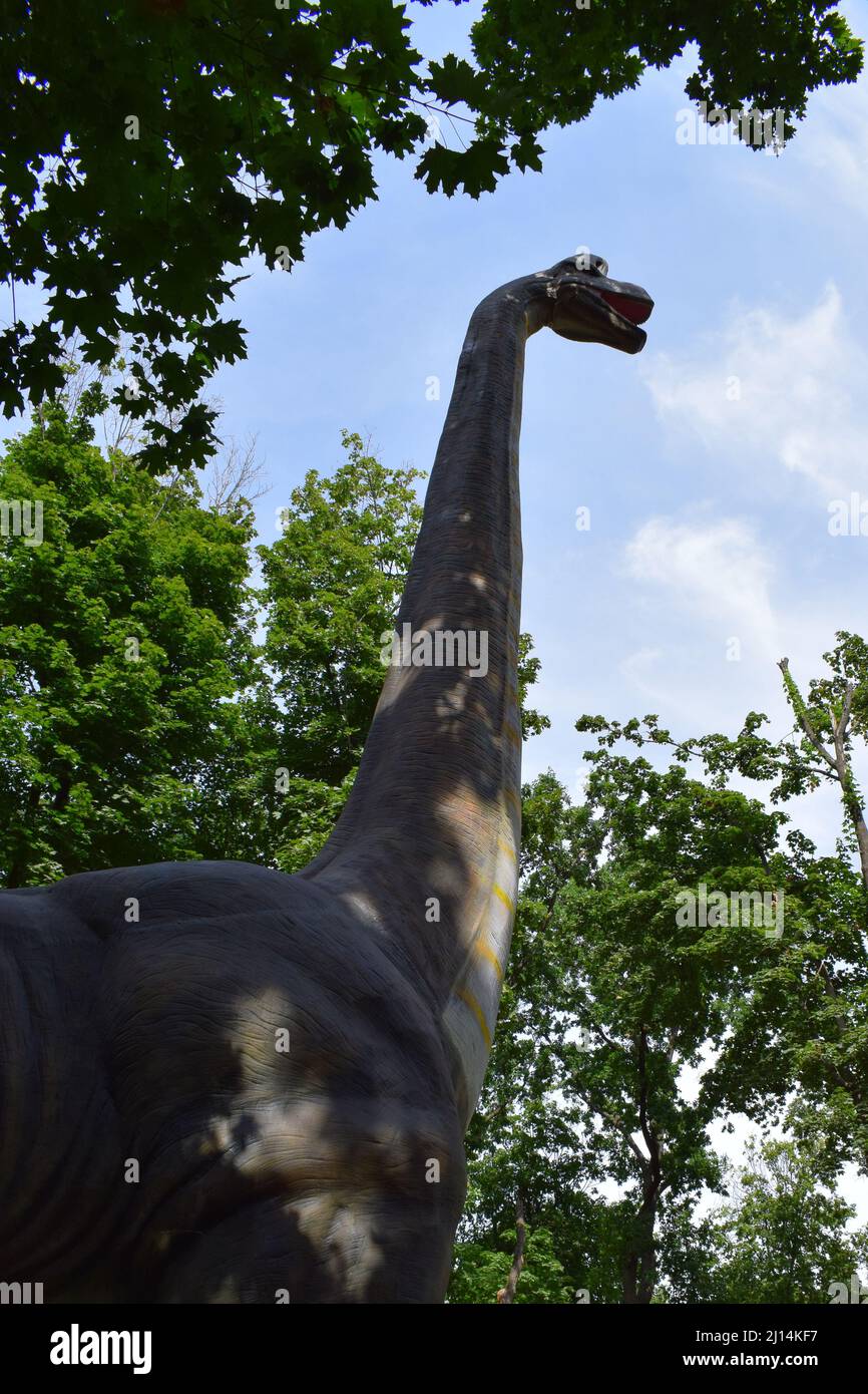 PARC DINO, KHARKOV - 8 AOÛT 2021 : vue de la magnifique exposition de sculptures de dinosaures dans le parc. Brachiosaurus modèle réaliste. Approchez-vous du dinosaure. Banque D'Images