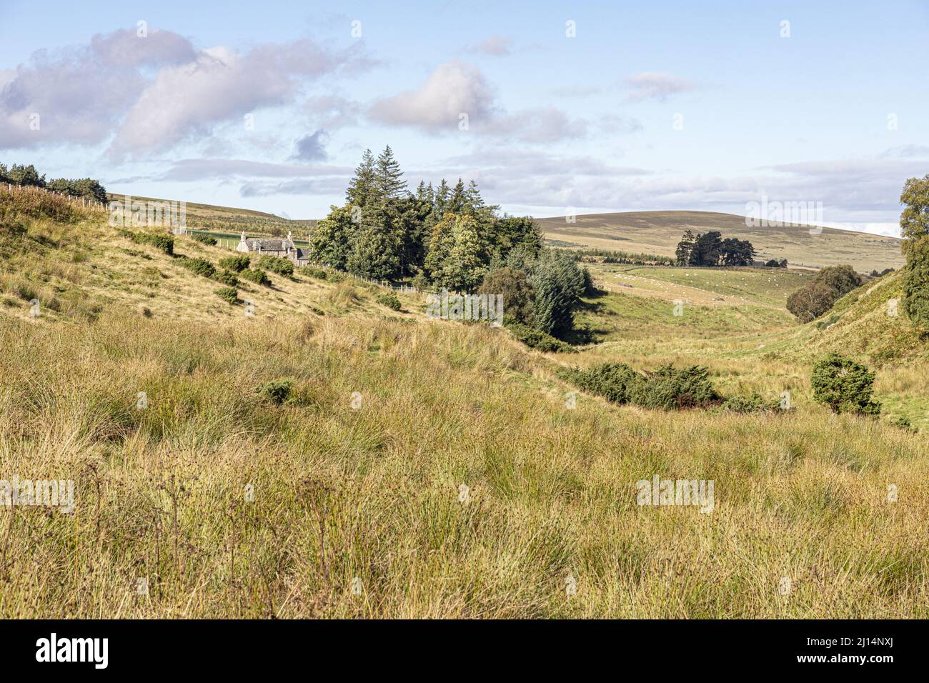 La vallée de Conglass Water à Blairnamarrow près de Tomintoul, Moray, Écosse Royaume-Uni. Banque D'Images