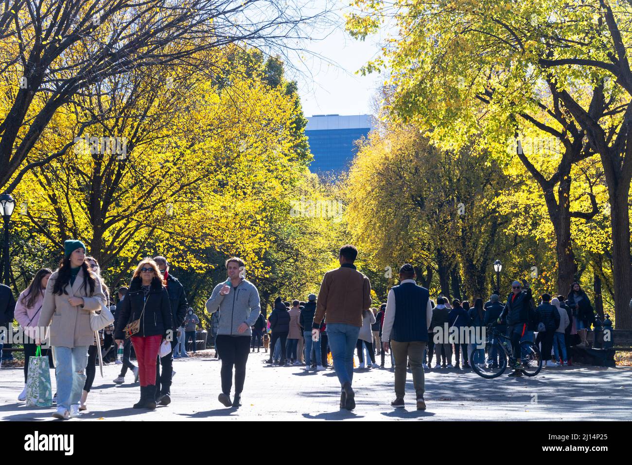 Les arbres de couleur feuille d'automne brillent dans Central Park NYC 2021 Banque D'Images