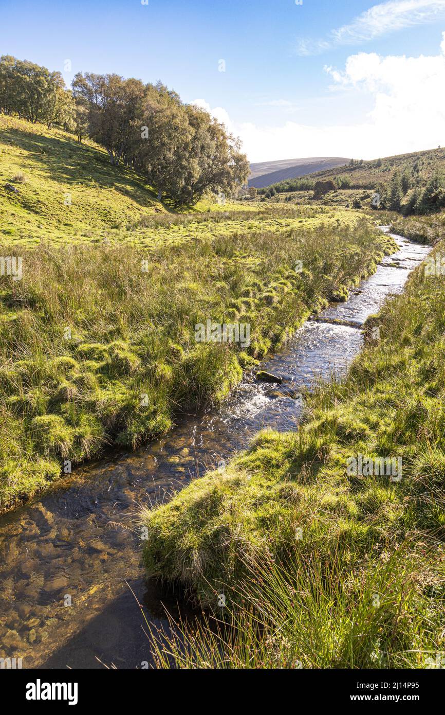 La vallée de Conglass Water à Blairnamarrow près de Tomintoul, Moray, Écosse Royaume-Uni. Banque D'Images