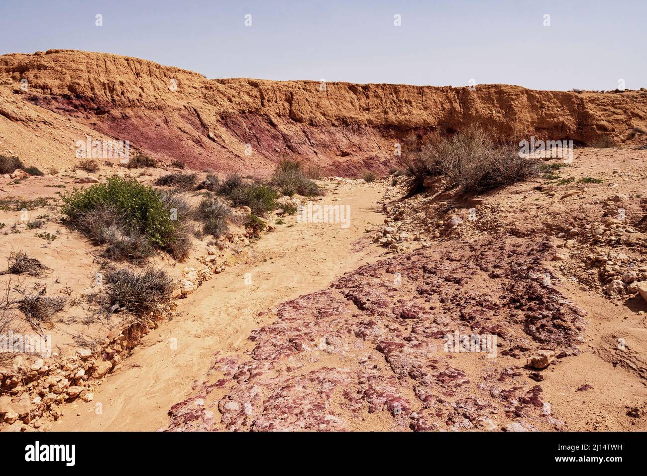 Affluent du nahal wadi Hatira dans le grand cratère de Yeruham Hamaktesh Hagadol en Israël montre une variété de sols et de roches colorés à côté de spa Banque D'Images