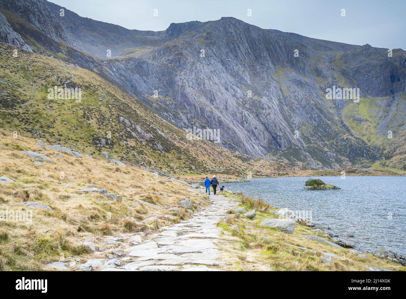 Vue arrière d'un couple avec un chien en équipement de temps humide randonnée dans les montagnes autour de Snowdonia avec un lac en arrière-plan. Banque D'Images