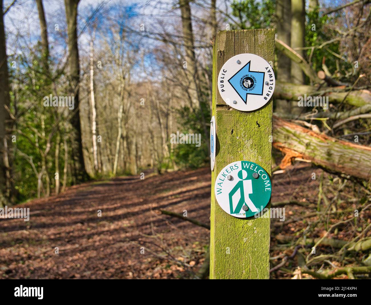 Des panneaux circulaires sur un poteau en bois abîmé marquent le chemin d'une bride avec les marcheurs Bienvenue. Pris par une journée ensoleillée en hiver à Chesham, Buckinghamshi Banque D'Images