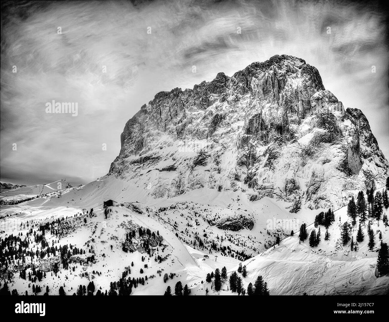 Vue en niveaux de gris sur les montagnes enneigées avec des pins au fond Banque D'Images