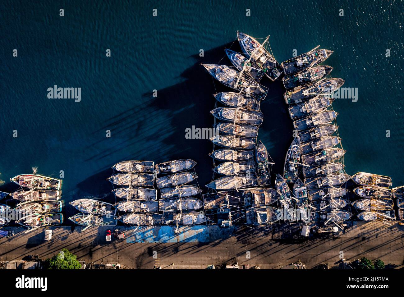 Bateaux de pêche amarrés dans la marina de Mazatlan, Sinaloa, Mexique. Banque D'Images