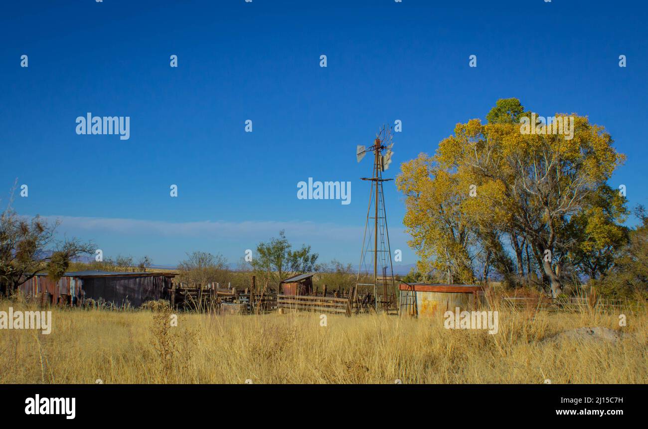 Brown Canyon Ranch près des montagnes Huachuca et de la Sierra Vista, Arizona Banque D'Images