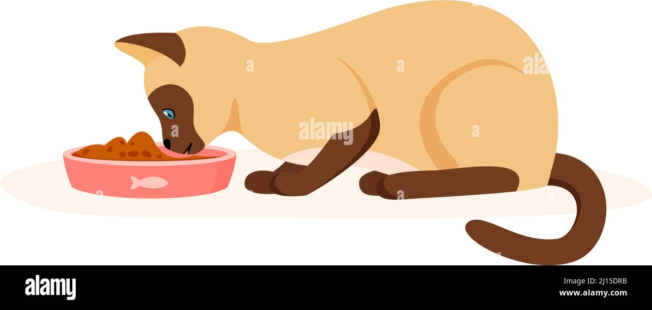 Chat affamé mangeant de la nourriture dans un bol. Chat domestique siamois ayant un bon appétit. Nourrissez votre animal de compagnie avec des croquettes ou de la nourriture humide. Vecteur de style plat Illustration de Vecteur