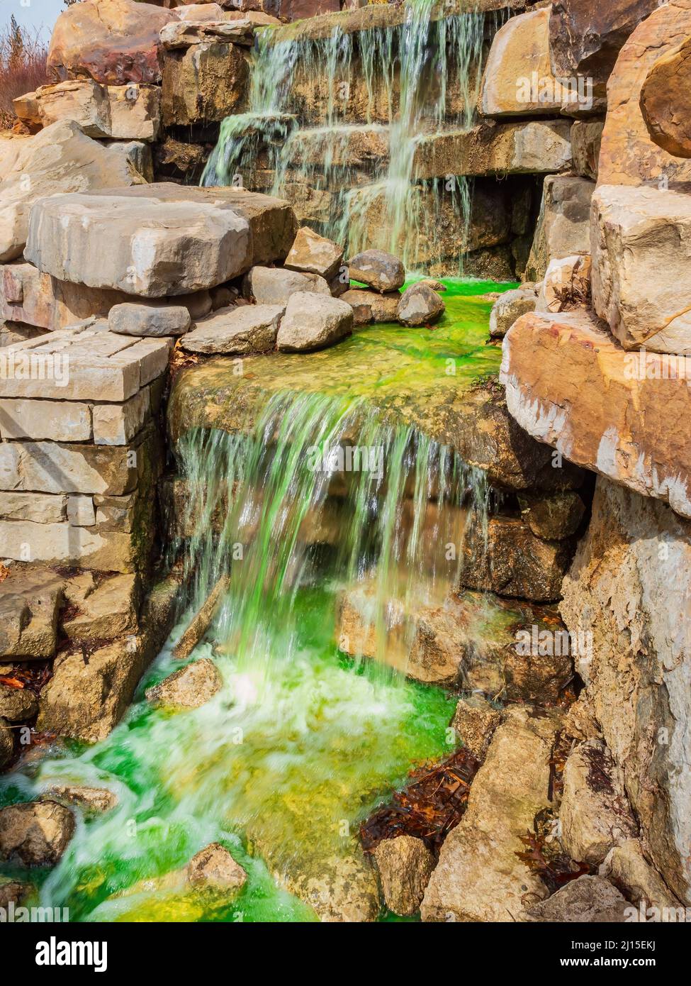 L'eau devient verte pour la St Patrick dans les jardins botaniques Myriad de l'Oklahoma Banque D'Images