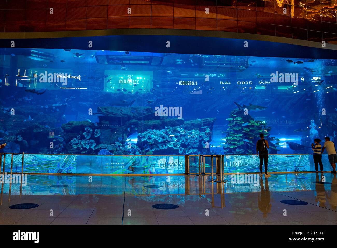 Intérieur de l'aquarium en verre dans le plus grand centre commercial du monde à Dubaï Banque D'Images