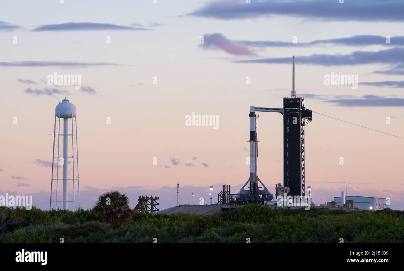 Une fusée SpaceX Falcon 9 à bord du vaisseau spatial Crew Dragon de la société est vue au coucher du soleil sur le plateau de lancement du Launch Complex 39A alors que les préparatifs se poursuivent pour la mission Crew-3, le samedi 30 octobre 2021, au Kennedy Space Center de la NASA en Floride. La mission SpaceX Crew-3 de la NASA est la troisième mission de rotation d’équipage du vaisseau spatial SpaceX Crew Dragon et de la fusée Falcon 9 à destination de la Station spatiale internationale dans le cadre du programme commercial Crew de l’agence. Le lancement des astronautes de la NASA Raja Chari, Tom Marshburn, Kayla Barron et Matthias Maurer, astronaute de l'Agence spatiale européenne (ESA), est prévu pour novembre Banque D'Images