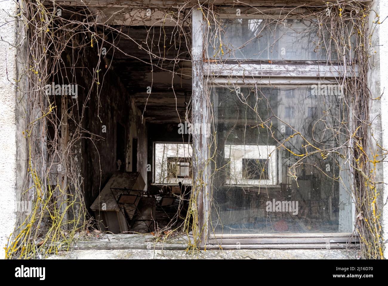 Zone d'exclusion de Tchernobyl. Ruines de la ville abandonnée de Pripyat. Automne dans la zone d'exclusion. Zone de radioactivité élevée. Vue panoramique sur la ville fantôme. Banque D'Images