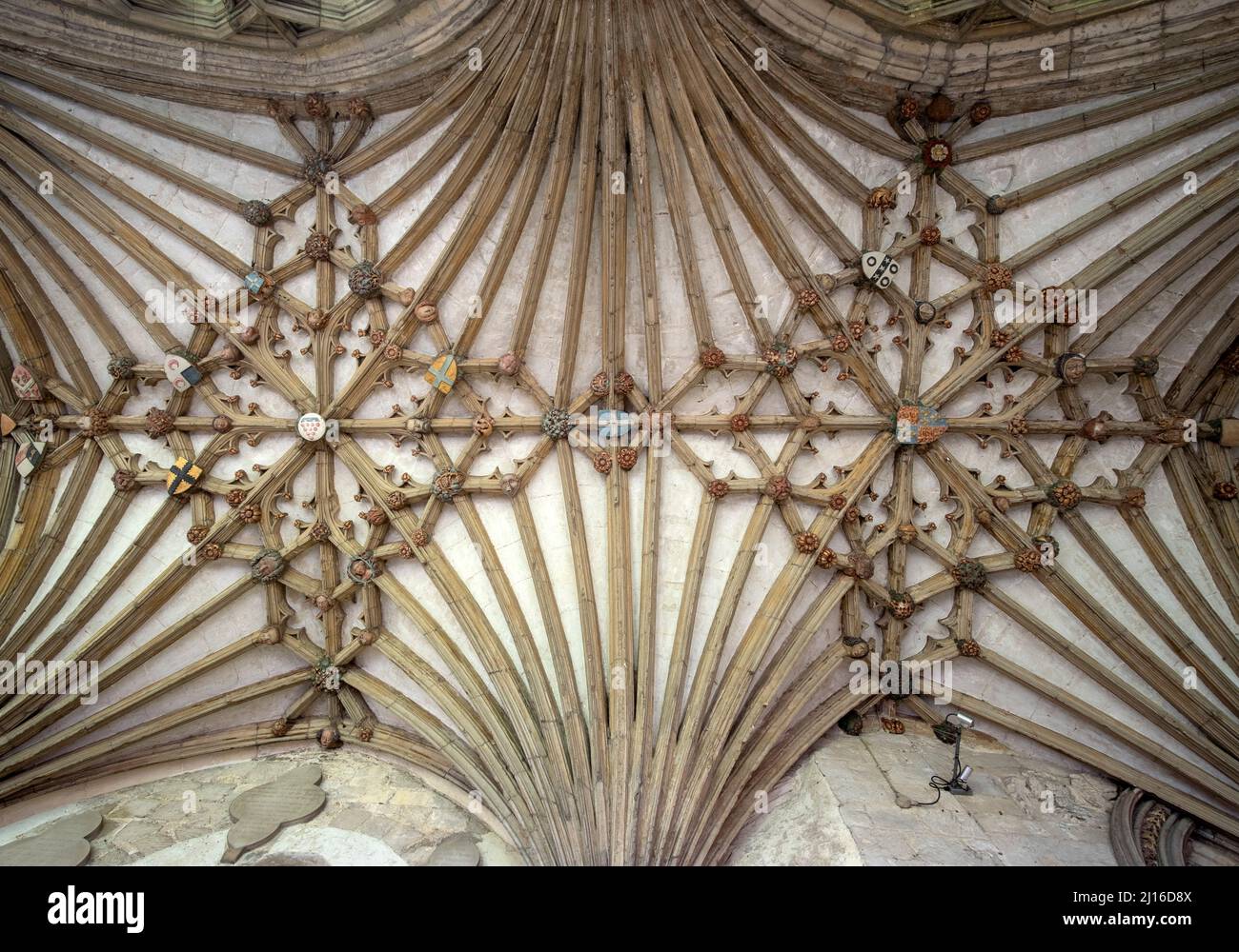 Canterbury, Cathédrale, Gewölbe im Kreuzgang , St., Sankt, Saint Banque D'Images