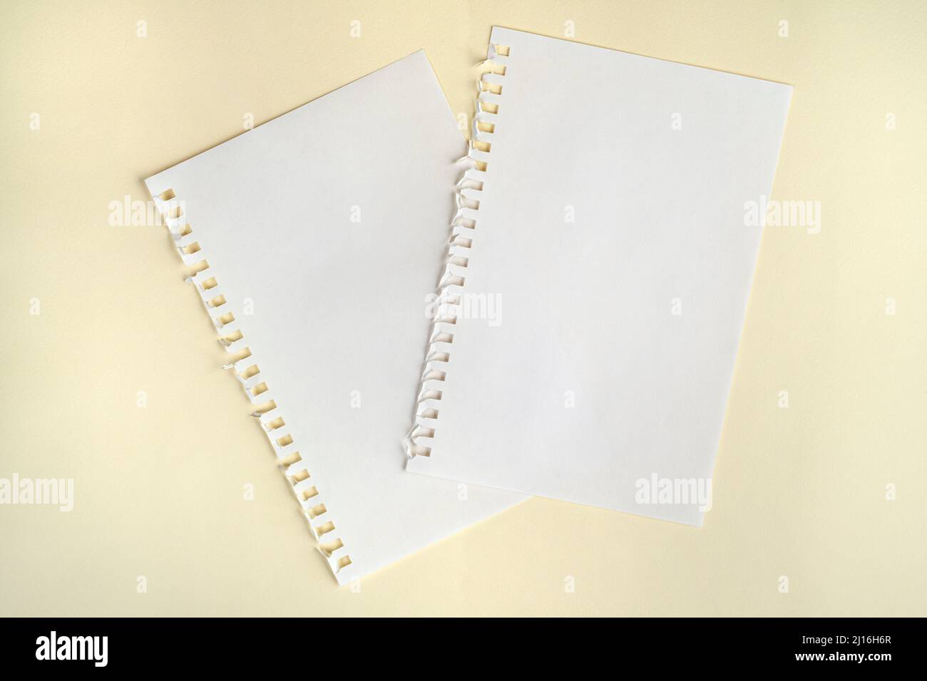 deux feuilles de papier vierges avec perforation latérale sur une surface Banque D'Images