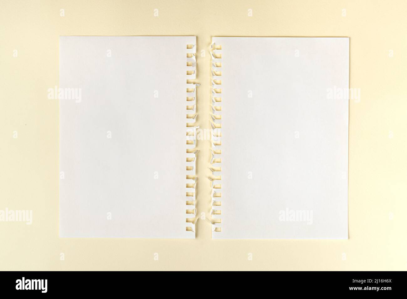 deux feuilles de papier vierges avec perforation latérale sur une surface Banque D'Images