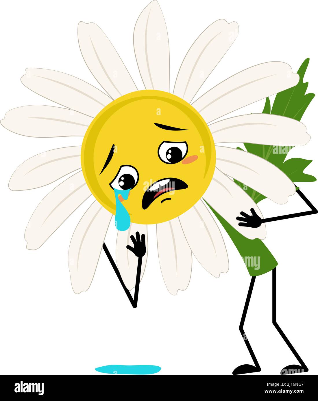 Camomille caractère avec pleurs et larmes émotion, visage triste, yeux dépressifs, bras et jambes. Personne avec expression mélancolique, fleur de Marguerite. Illustration vectorielle plate Illustration de Vecteur