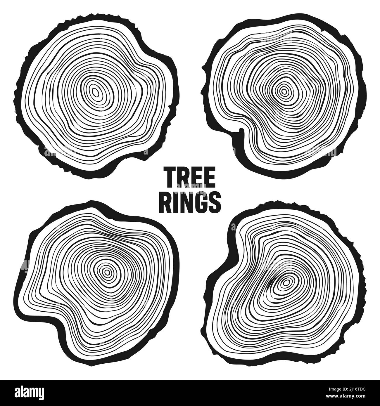 Troncs d'arbre ronds, tranches de pin ou de chêne sciées, bois d'œuvre.Bois scié, bois.Texture en bois avec anneaux.Esquisse dessinée à la main.Illustration vectorielle Illustration de Vecteur