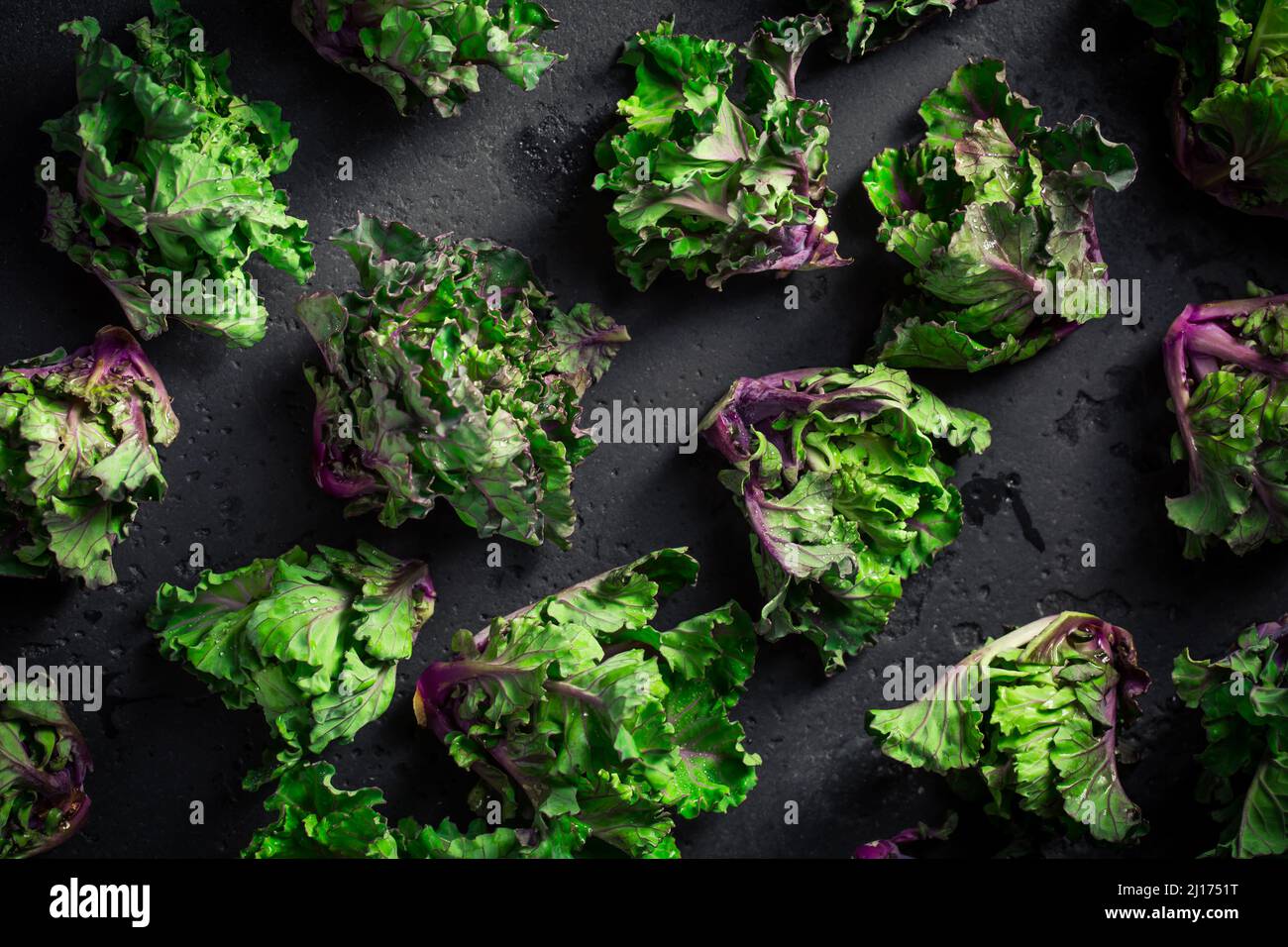 Kalette, choux de kale ou choux de fleur sur fond noir. Plante hybride, croisement entre kale et choux de Bruxelles. Banque D'Images