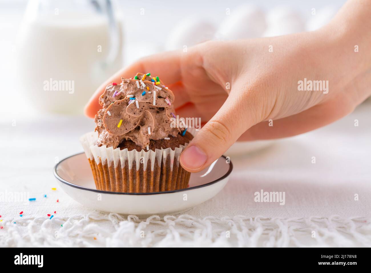 Petits gâteaux au chocolat faits maison avec crème fouettée au chocolat Banque D'Images