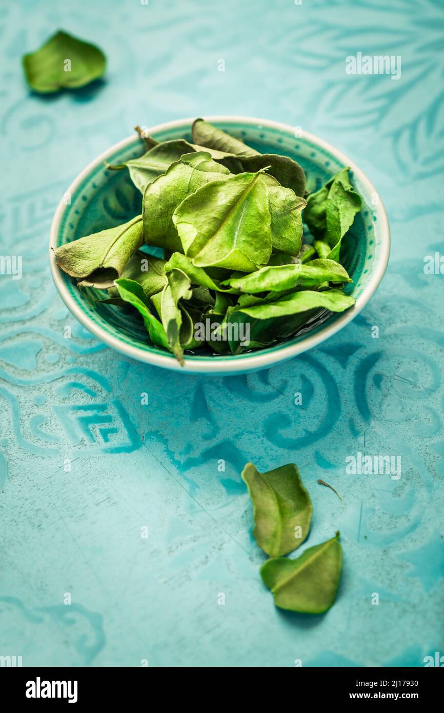Agrumes hystrix - feuilles de citron vert Kaffir - feuilles séchées utilisées dans les cuisines asiatiques et la médecine traditionnelle Banque D'Images