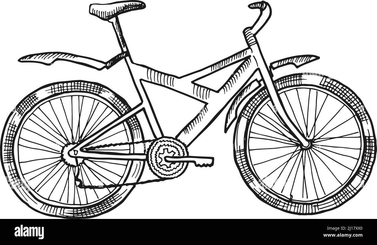 Esquisse de vélo. Véhicule tiré à la main. Transport écologique Illustration de Vecteur