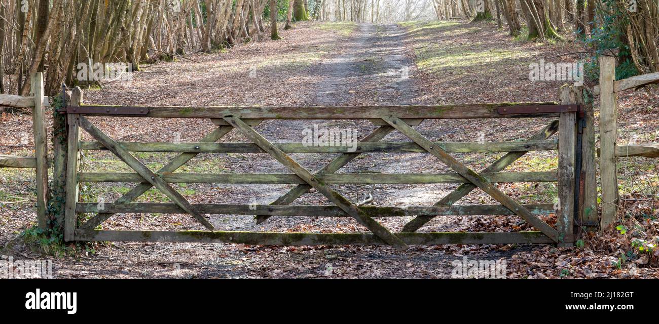 Une porte en bois de cinq bars bien usée entourée par la campagne vue directement sur la place, avec piste à travers les bois derrière Banque D'Images