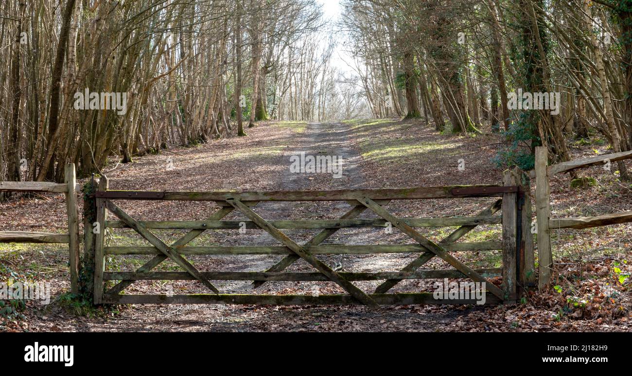 Une porte en bois de cinq bars bien usée entourée par la campagne vue directement sur la place, avec piste à travers les bois derrière Banque D'Images