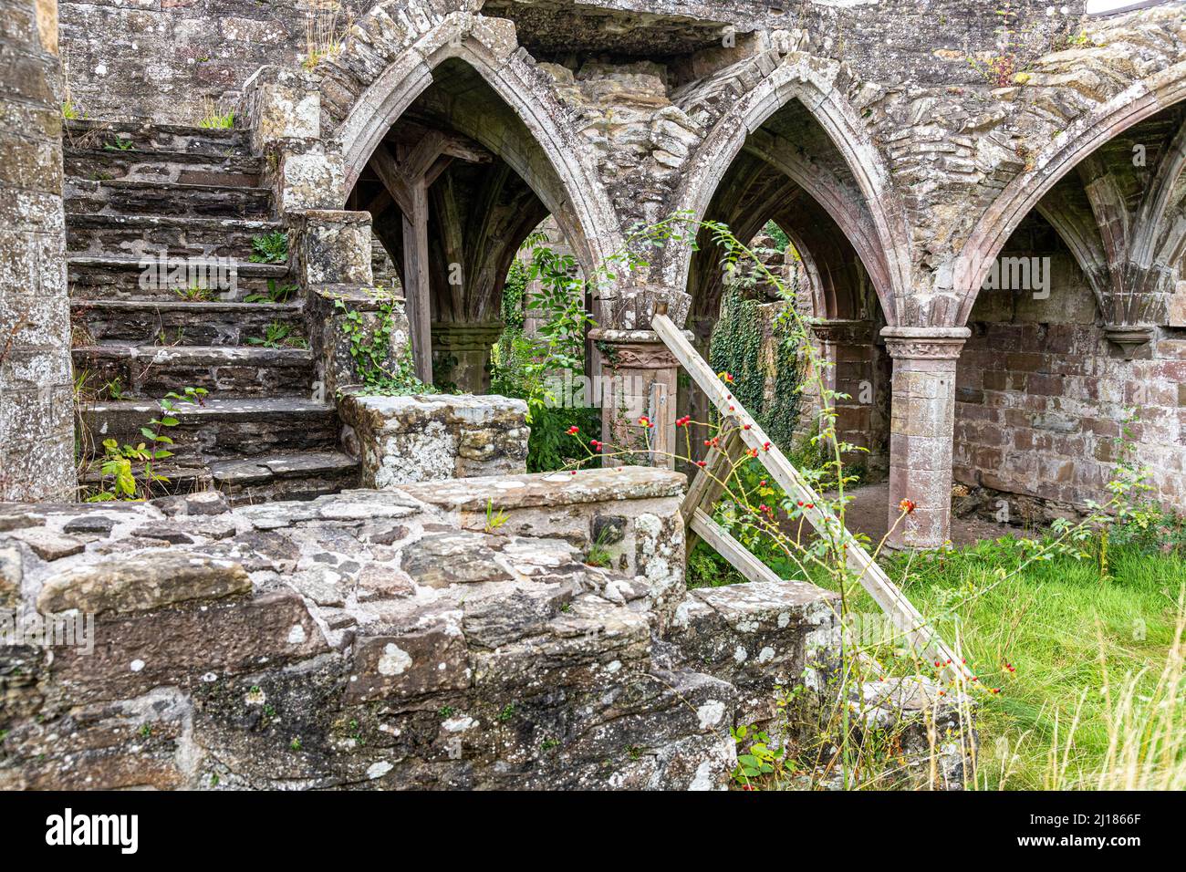 Les ruines de l'abbaye de Balmerino (ou l'abbaye de St Edwards) un monastère cistercien de 13th siècles à Balmerino, Fife, Écosse Banque D'Images