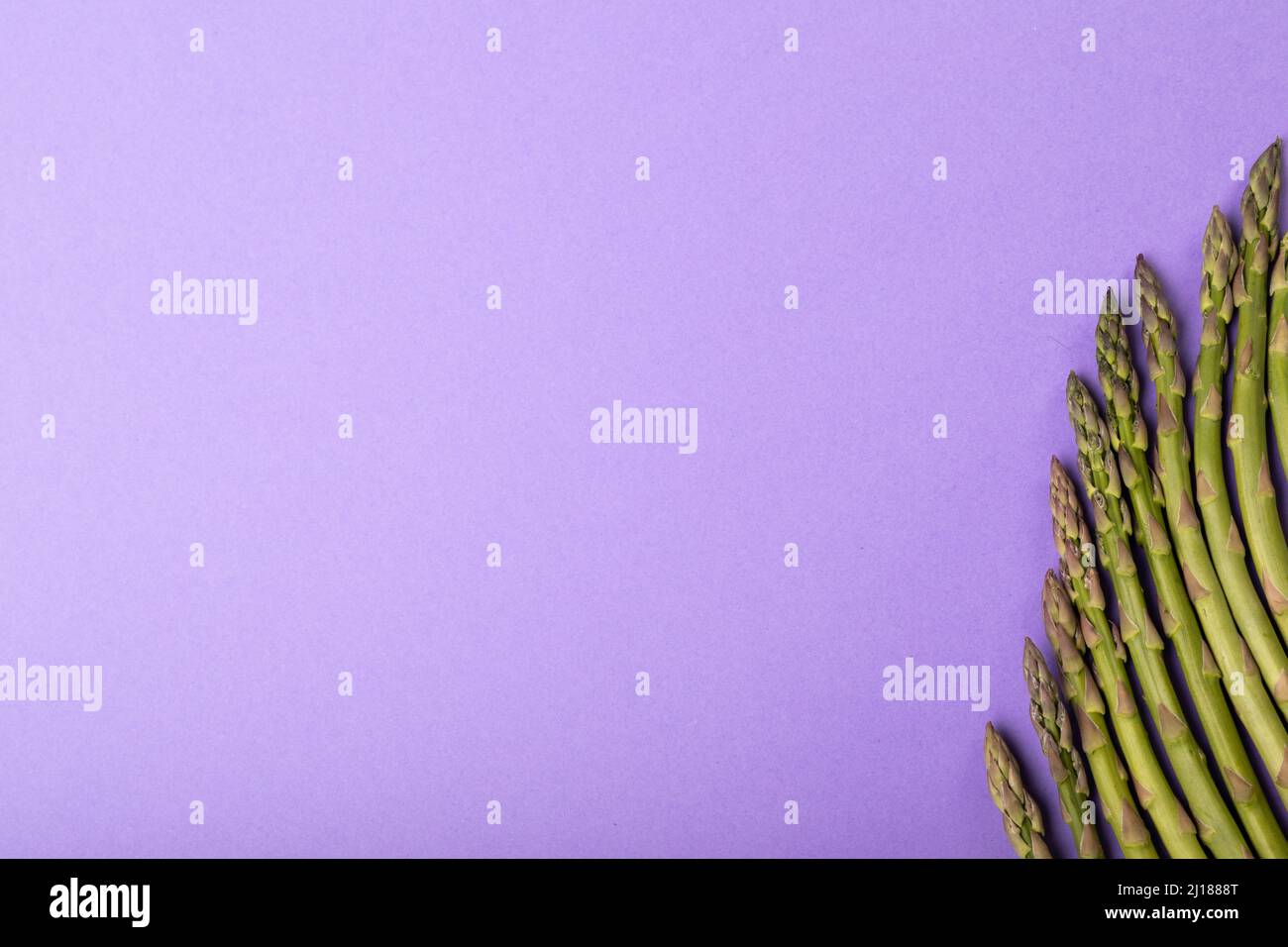 Directement au-dessus de la vue de l'espace de copie avec asperges brutes disposées côte à côte sur fond violet Banque D'Images