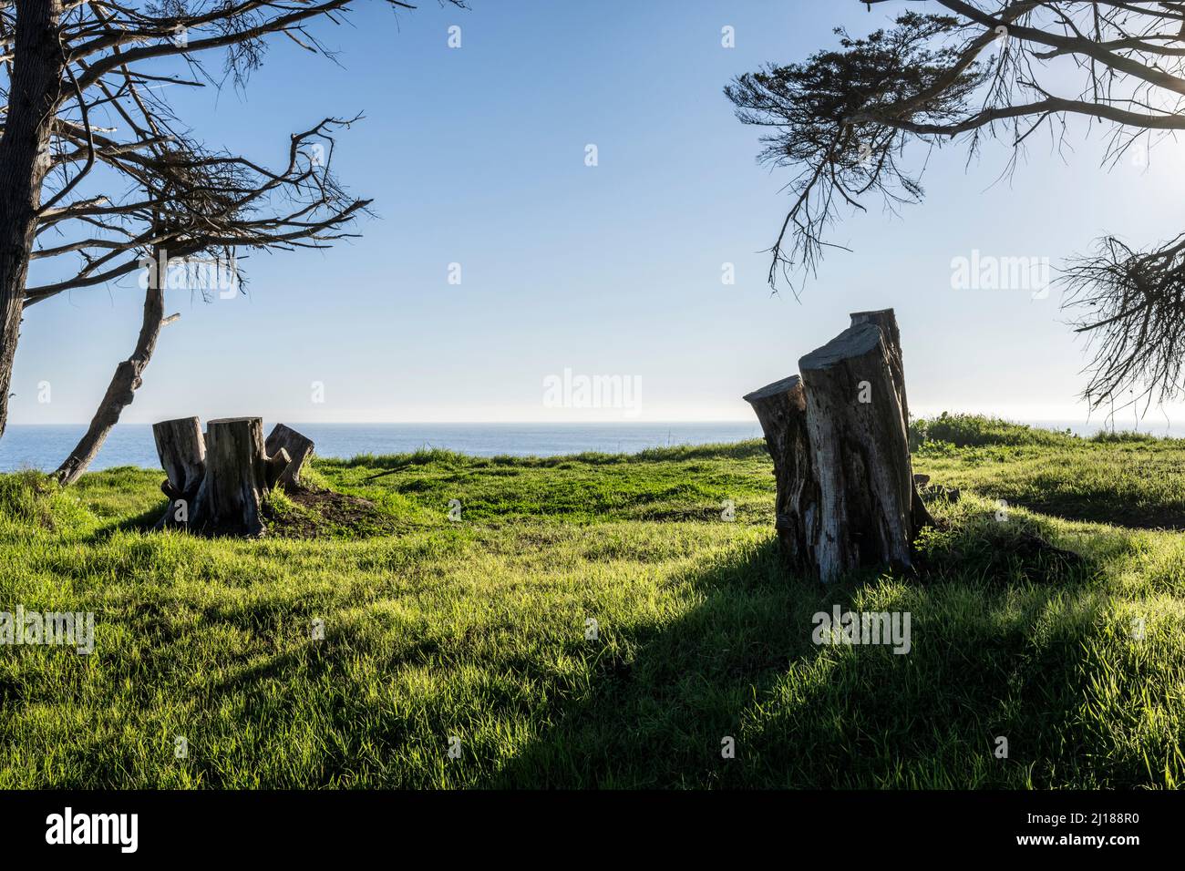 san franisco, californie, états-unis Banque D'Images