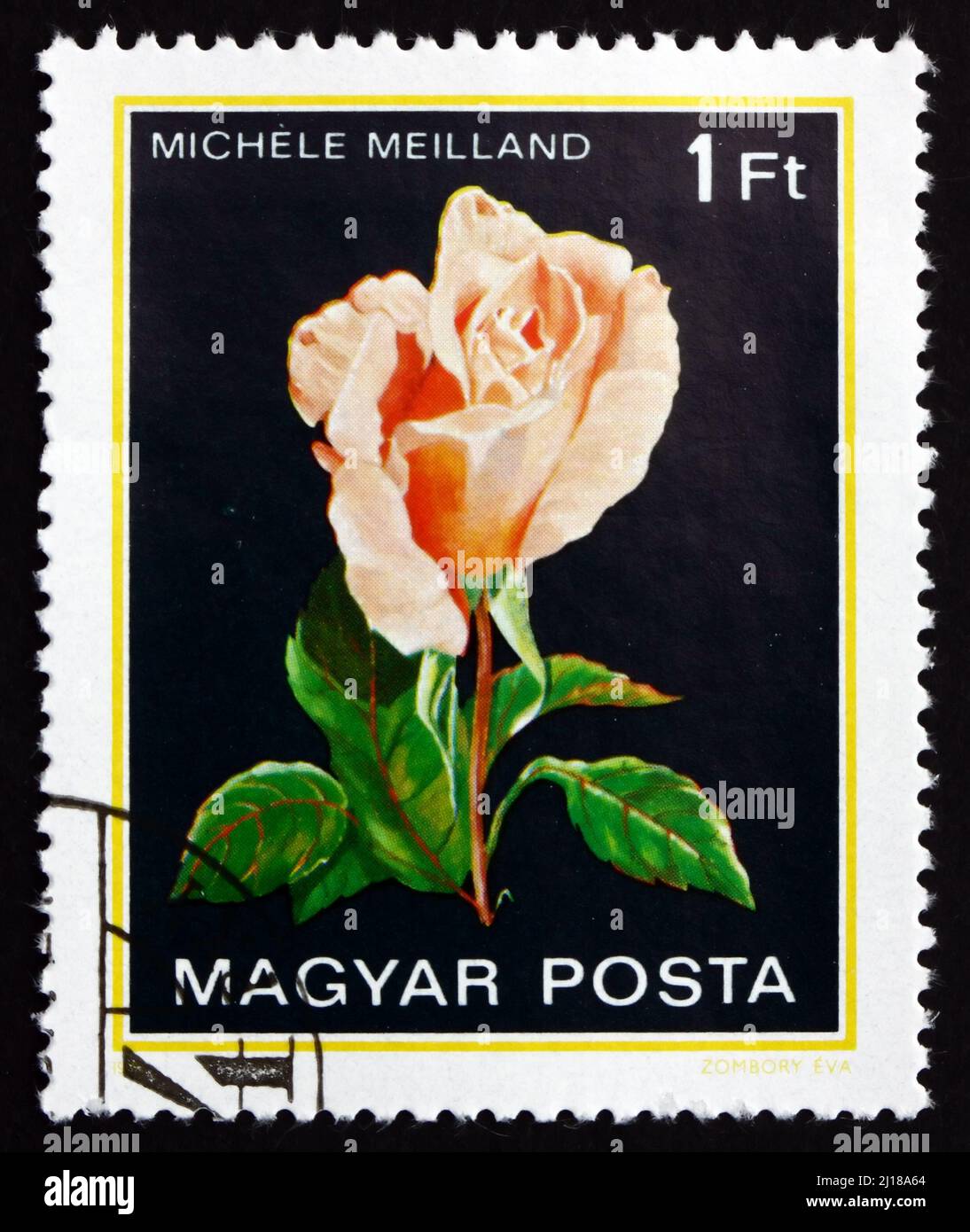HONGRIE - VERS 1982 : un timbre imprimé en Hongrie montre Michele Meilland, Rose Flower, vers 1982 Banque D'Images