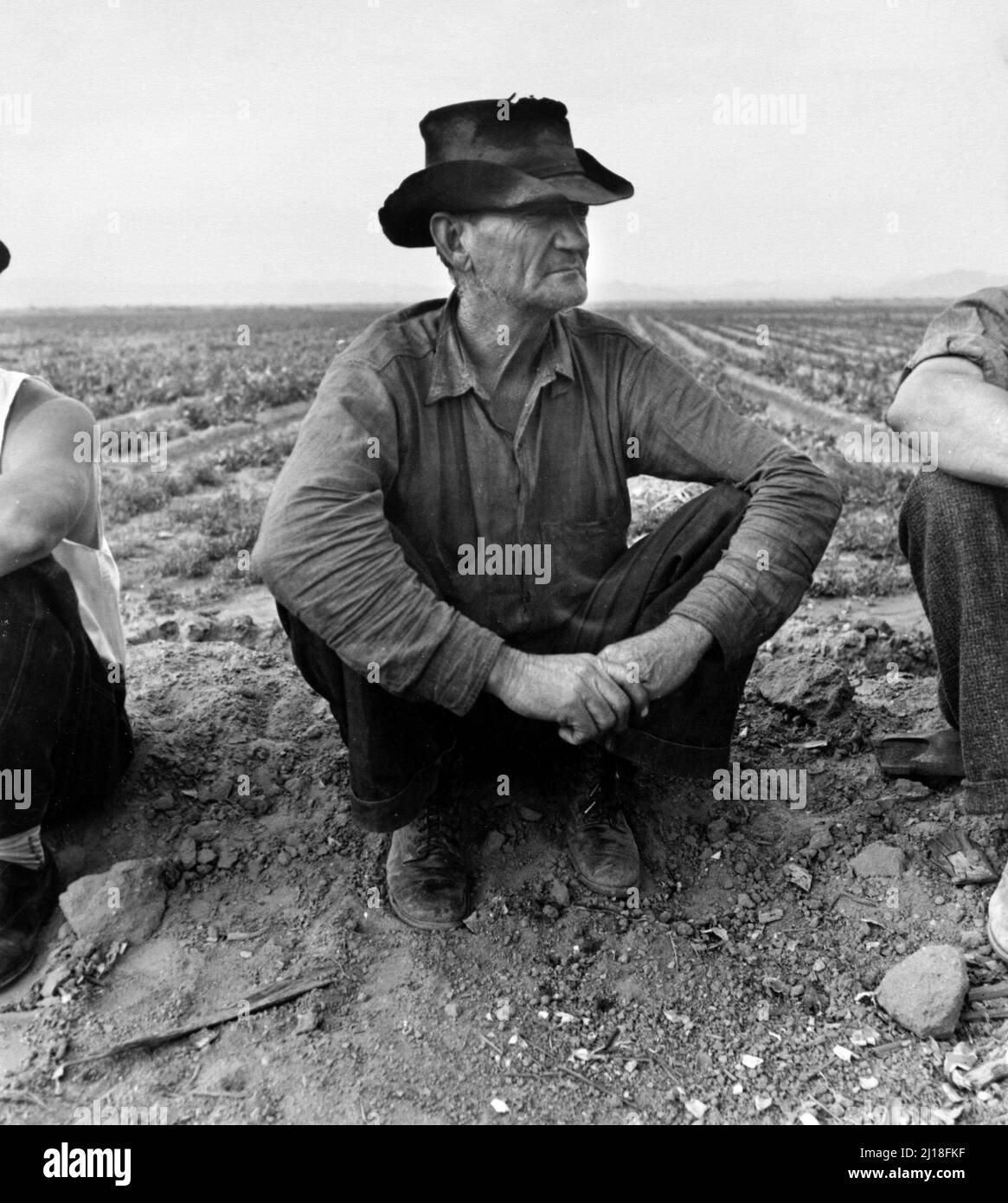 En attente de travaux sur Edge of the Pea Field, Holtville, Imperial Valley, Californie par Dorothea Lange, 1937 Banque D'Images