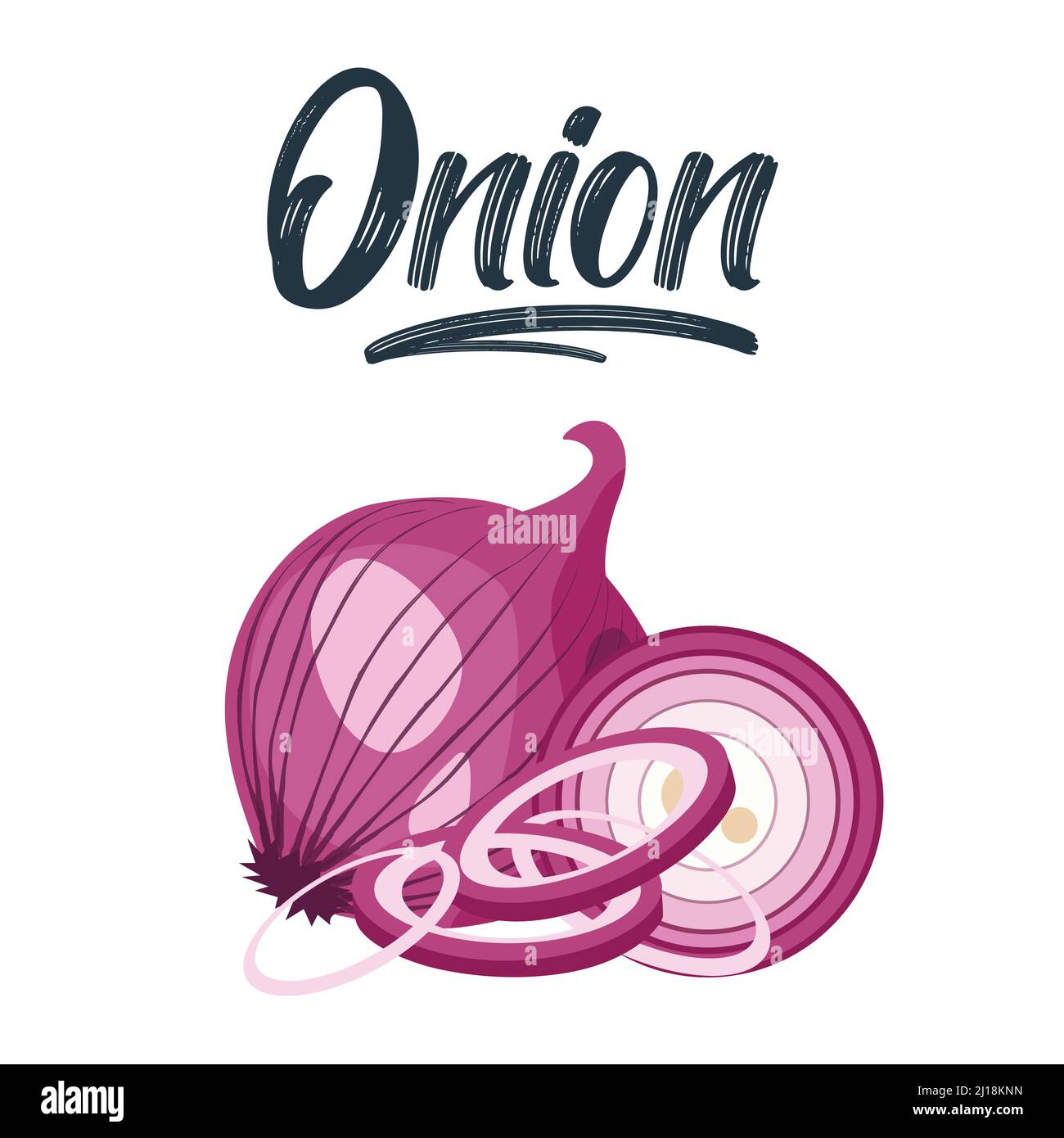 Ensemble d'oignons rouges. Couper en deux, couper en tranches et en rondelles d'oignon. Illustration vectorielle isolée. Illustration de Vecteur