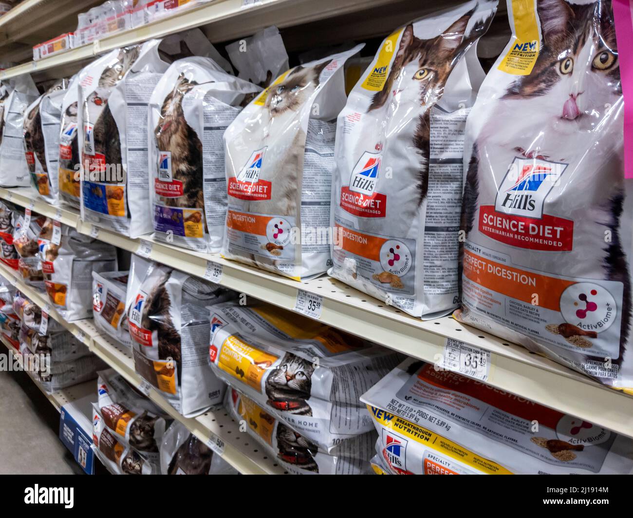 Woodinville, WA USA - vers février 2022 : vue inclinée des sacs de nourriture sèche pour chats Hill's Science Diet sur une étagère à l'intérieur d'un magasin d'alimentation pour animaux PetSmart. Banque D'Images