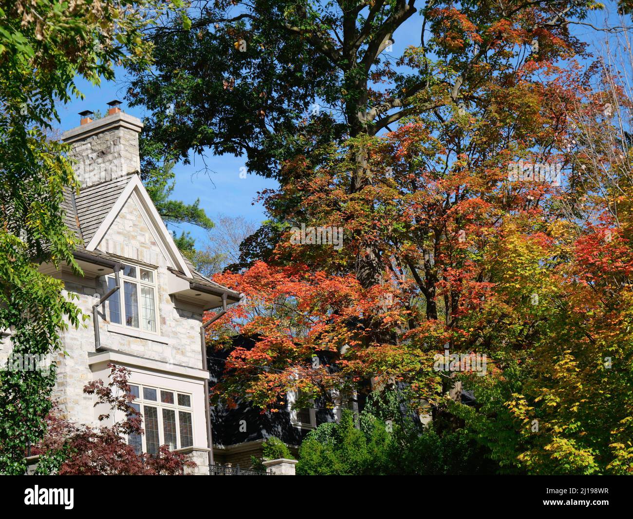 Maison entourée d'arbres aux couleurs éclatantes de l'automne Banque D'Images