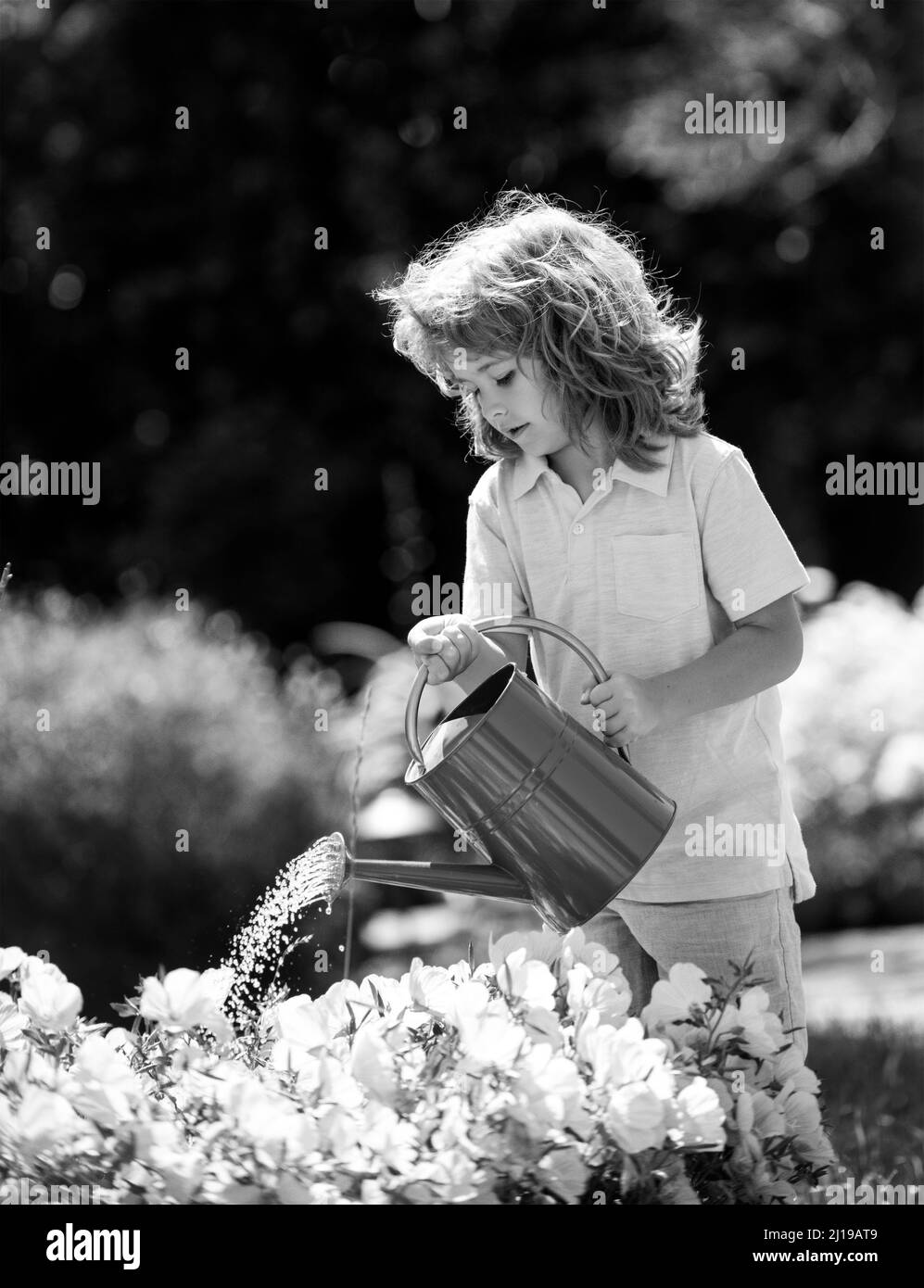 Un adorable enfant qui abreute des fleurs dans le jardin en été. Un enfant qui utilise un arrosoir le jour de l'été. Peu d'aide. Banque D'Images