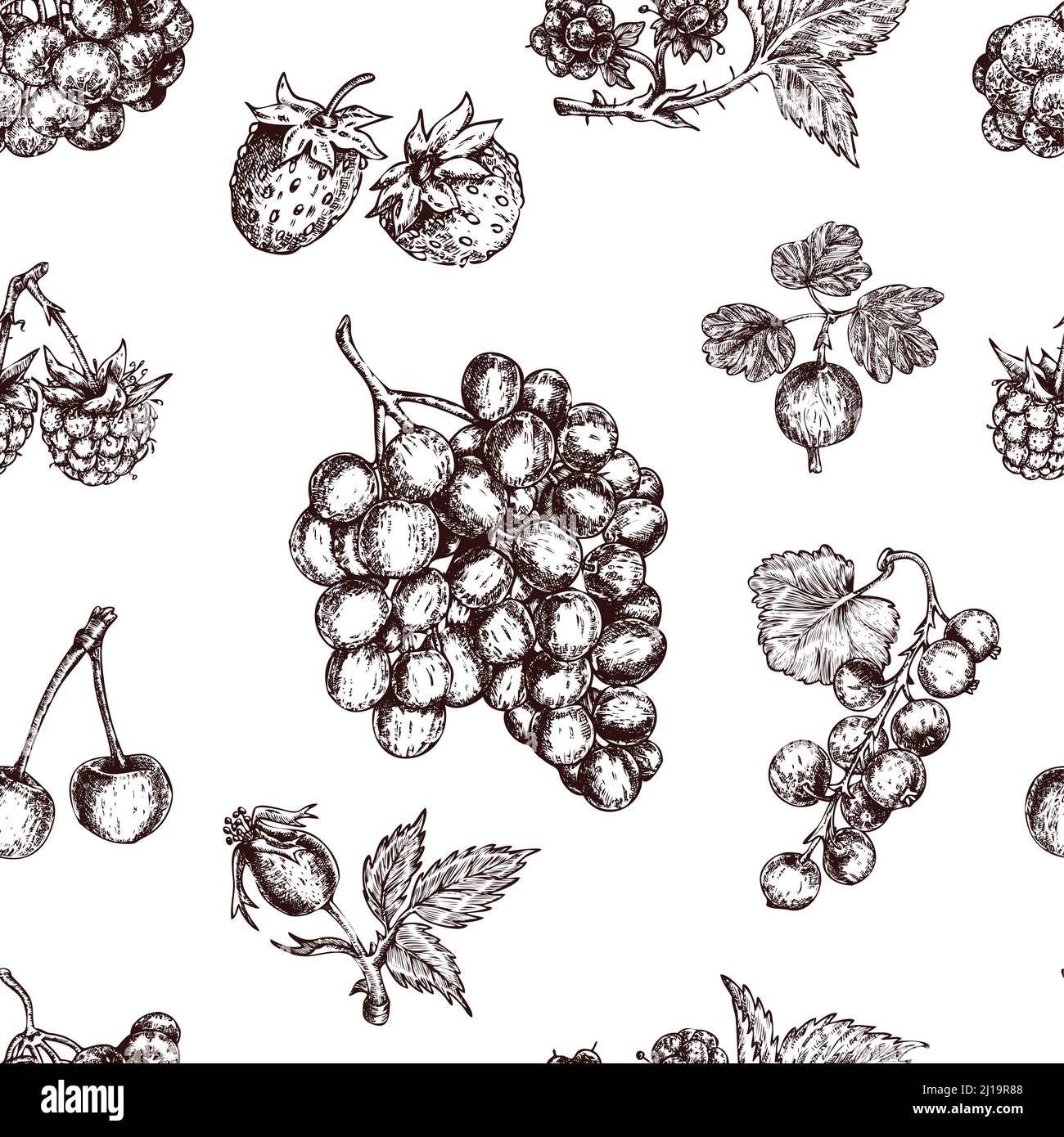 Baies dessinées à la main avec motif sans couture et fraise sauvage à cassis illustration vectorielle cerise et bouquet de raisins Illustration de Vecteur