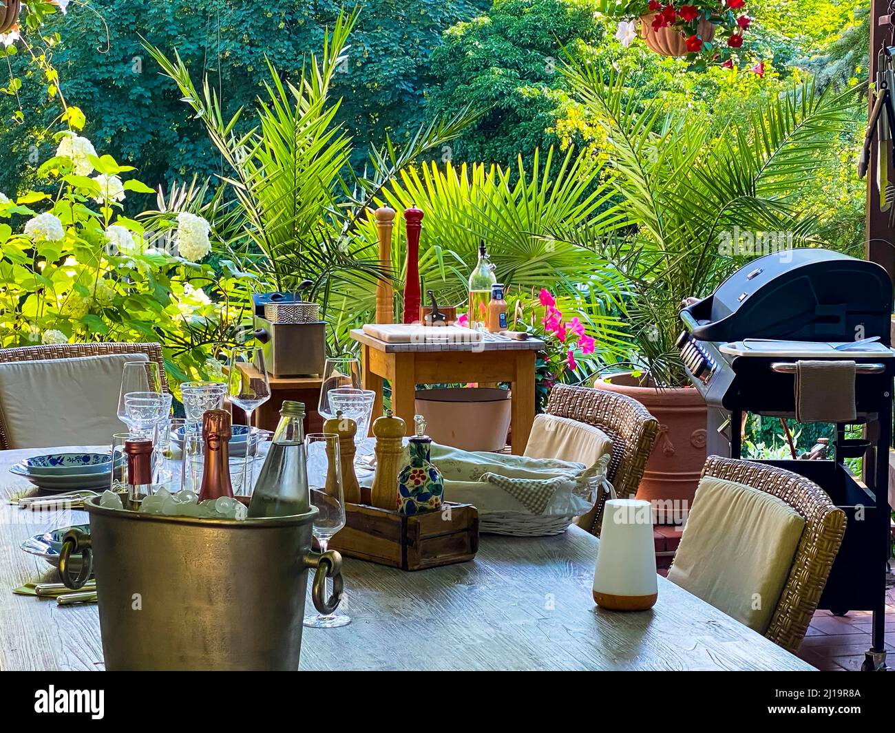 Jardin tropical avec table avec barbecue Moulin à sel et poivre avec huile et épices Banque D'Images