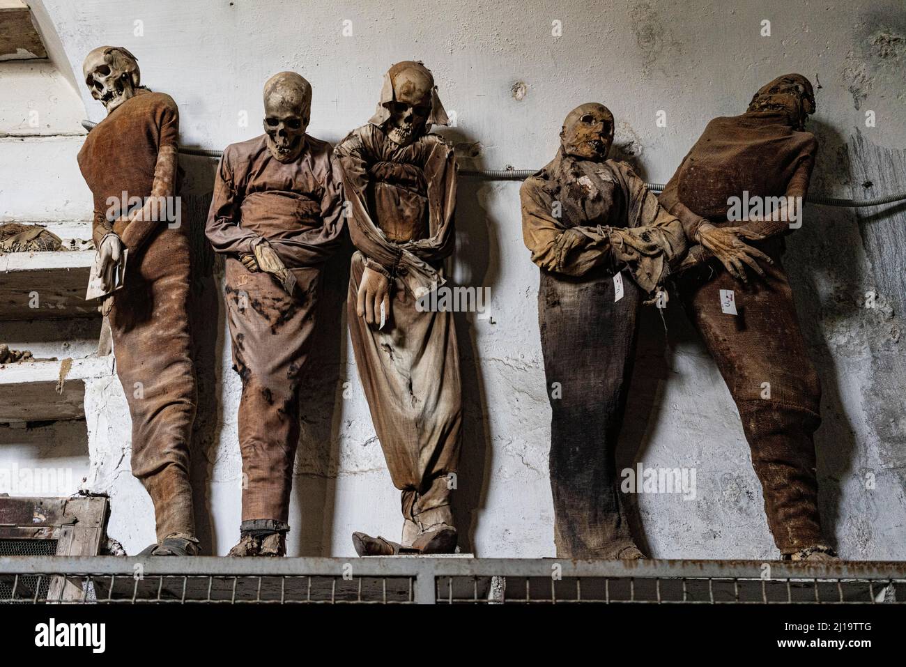 Momies dans les catacombes de Capuchin, Palerme, crypte de Capuchin, Sicile, Italie Banque D'Images