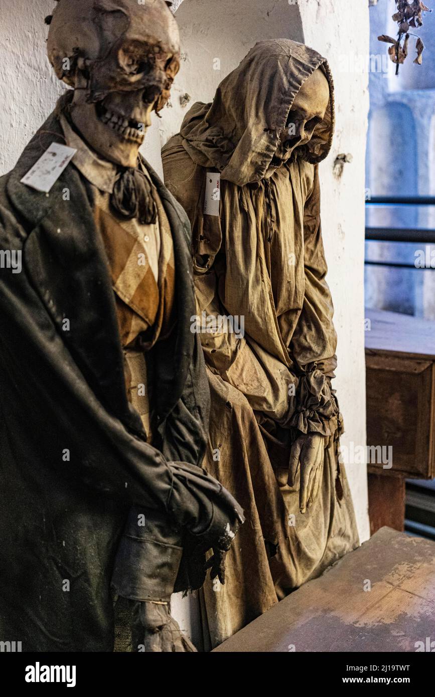 Momies dans les catacombes de Capuchin, crypte de Capuchin, Palerme, Sicile, Italie Banque D'Images
