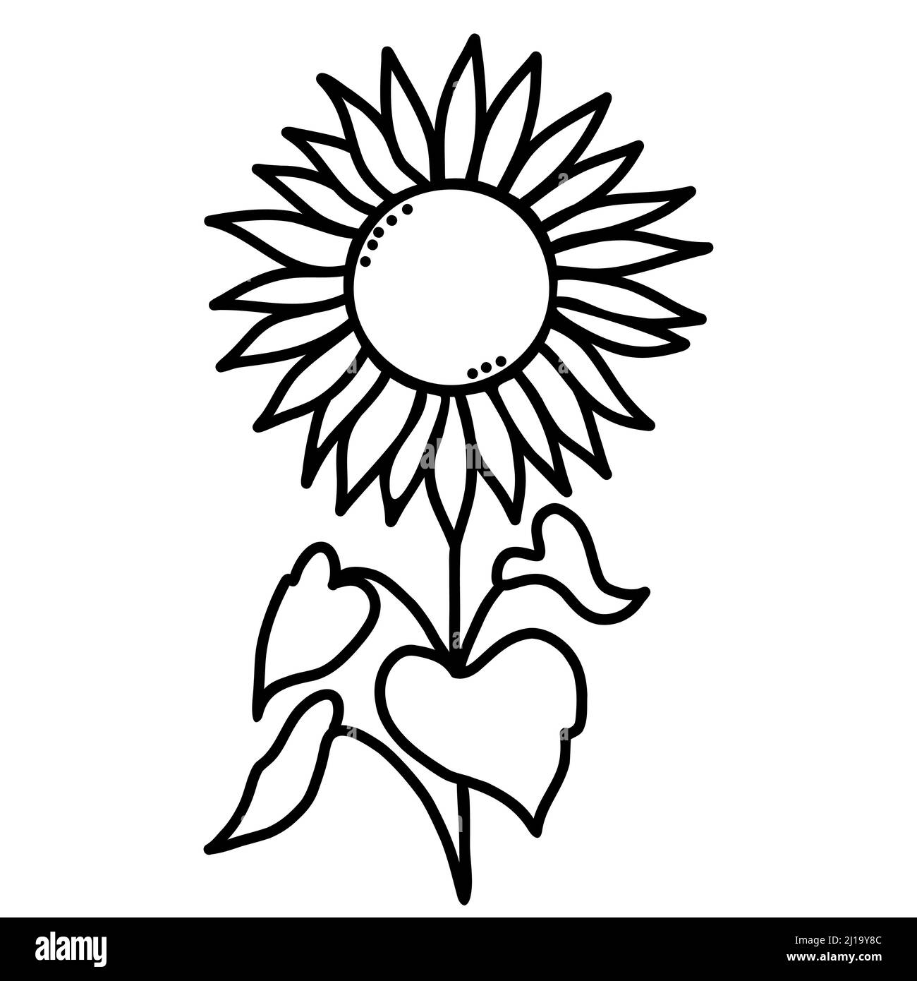 Usine. Beau tournesol fleuri avec des feuilles. Illustration vectorielle. Dessiné à la main dans un style de caniche. Pour le design, la décoration et la décoration Illustration de Vecteur