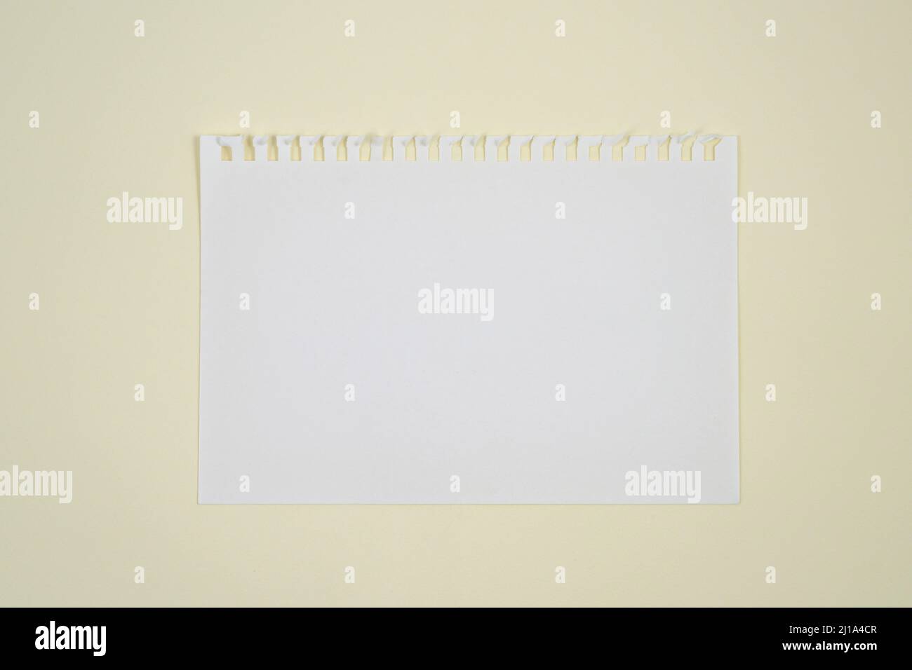 deux feuilles de papier vierges avec perforation latérale sur une surface Banque D'Images