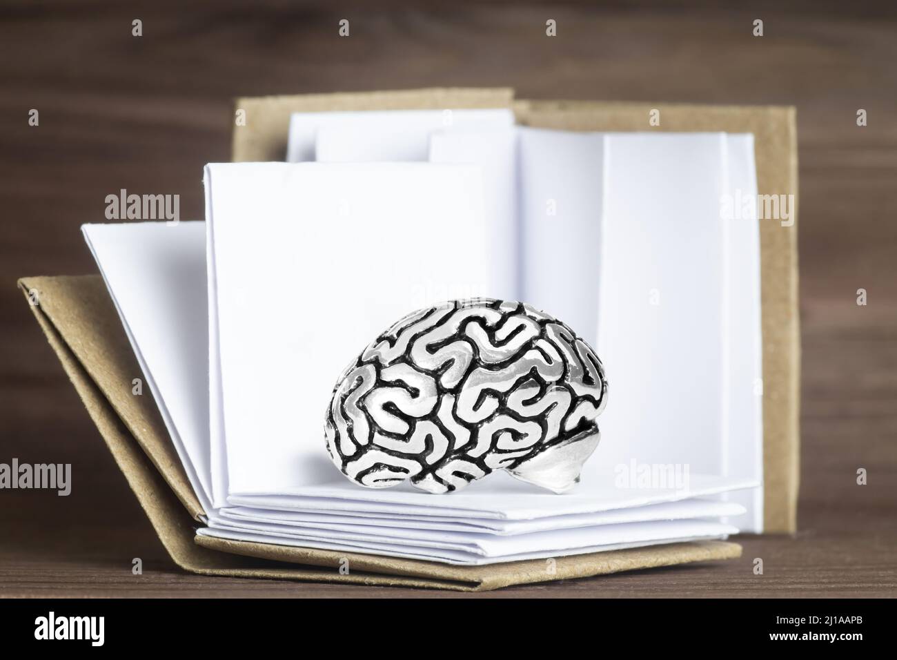Modèle miniature de cerveau humain situé parmi des livres ouverts sur fond de bois. Concept d'étude créative. Banque D'Images