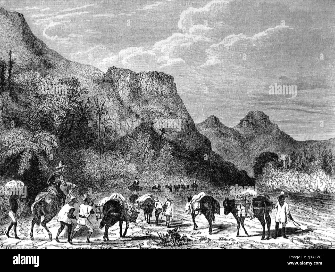 Les Cubains voyageant avec des ânes emballés, des animaux d'emballage ou des Caravane d'âne dans la Sierra Maestra Mountain Range Cuba. Illustration ancienne ou gravure 1860. Banque D'Images