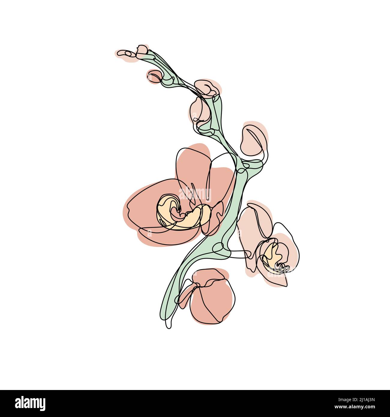 Un dessin d'une seule ligne de fleurs d'orchidée et de formes neutres pastel Illustration de Vecteur