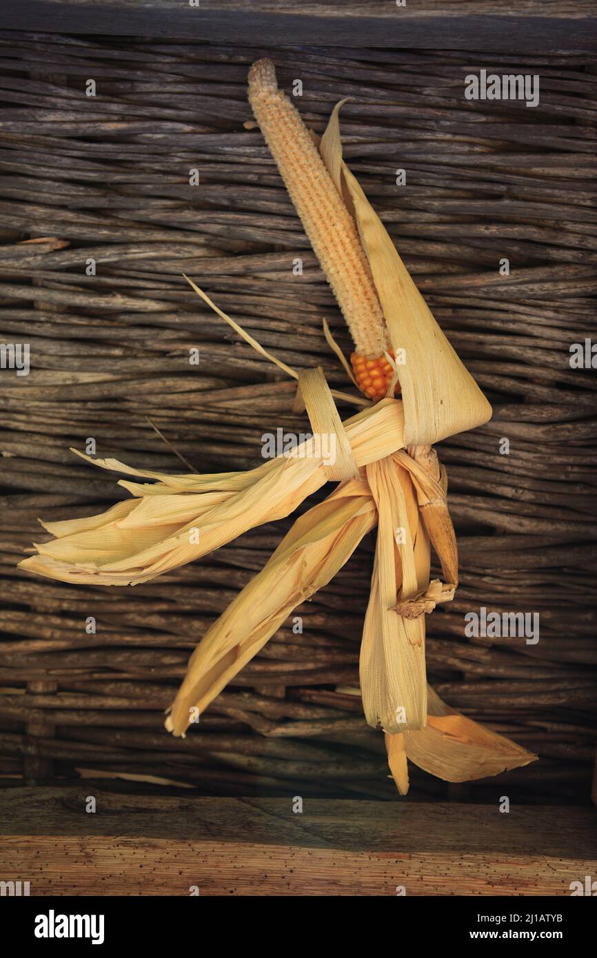 DAS Muzeul Satului (Dorfmuseum) ist ein Freilichtmuseum in Bukarest, Rumänien, hier Stillleben mit Mais an einer Hauswand / le Muzeul Satului (Vill Banque D'Images
