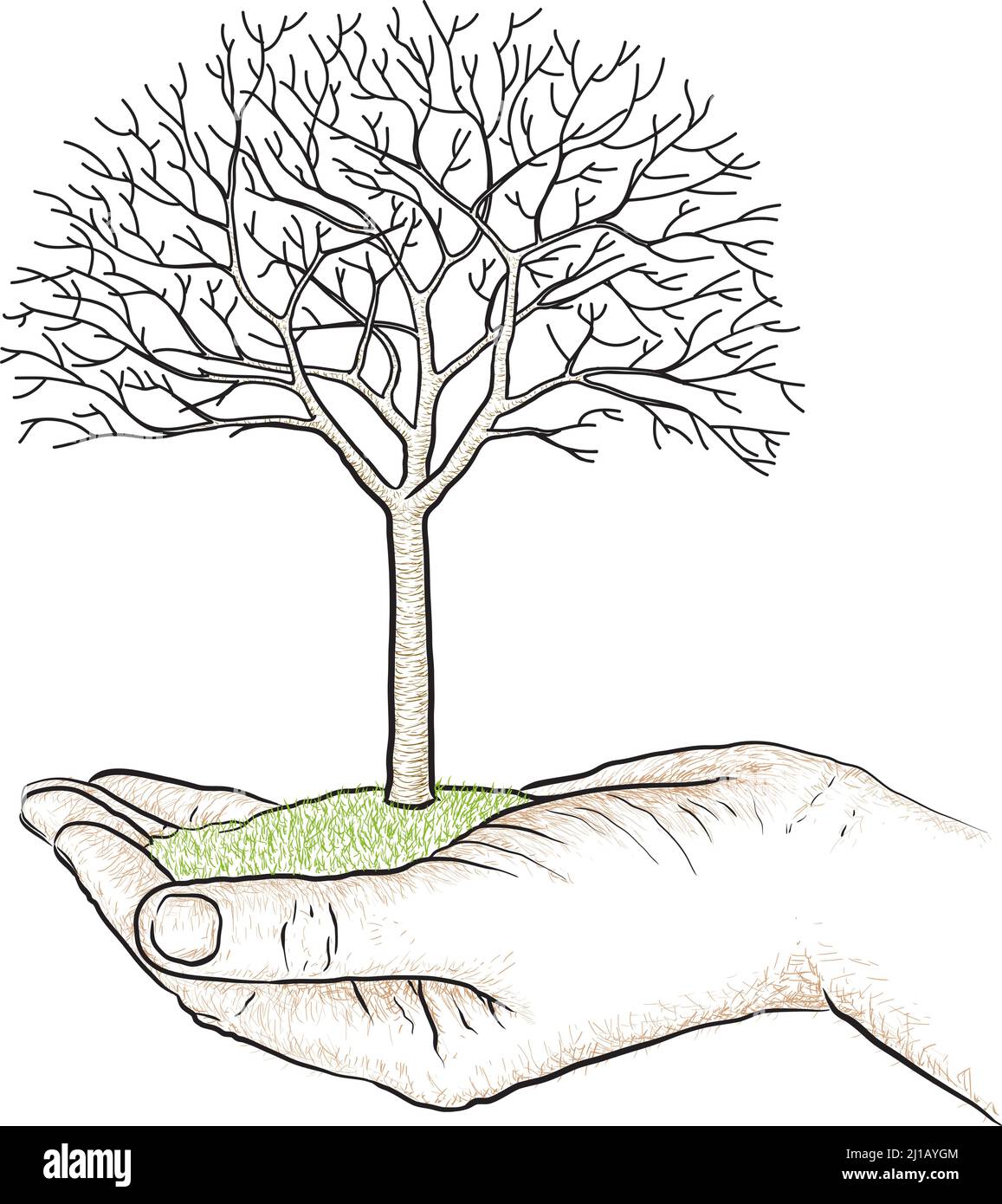 Cerisier avec feuilles et fruits, illustration vectorielle isolée. Illustration de Vecteur